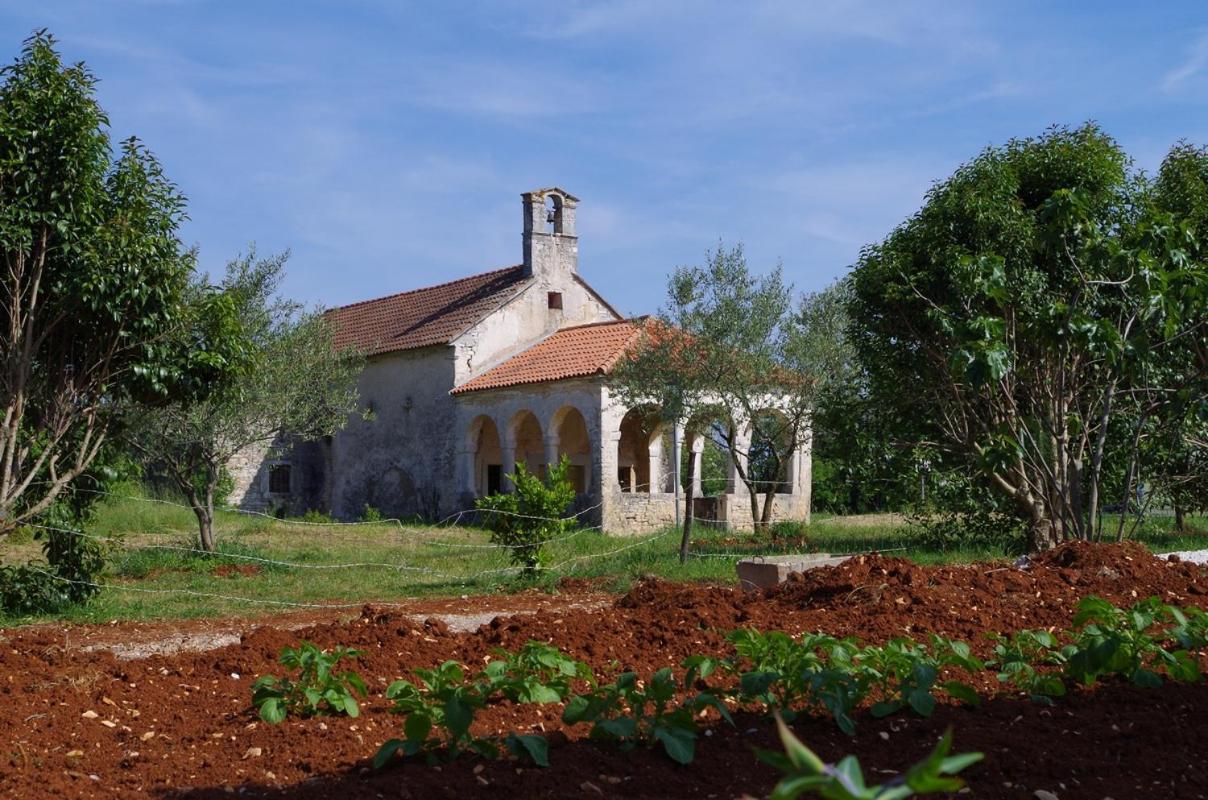 Villa House Oliva, Sveti Kirin à Svetvinčenat Extérieur photo